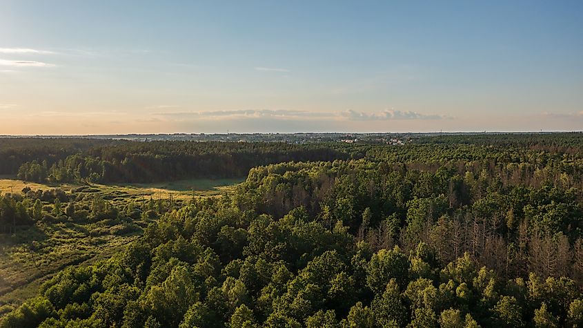 Polish part of Bialowieza Forest to Hajnowka aerial view, Podlaskie Voivodeship, Poland, Europe