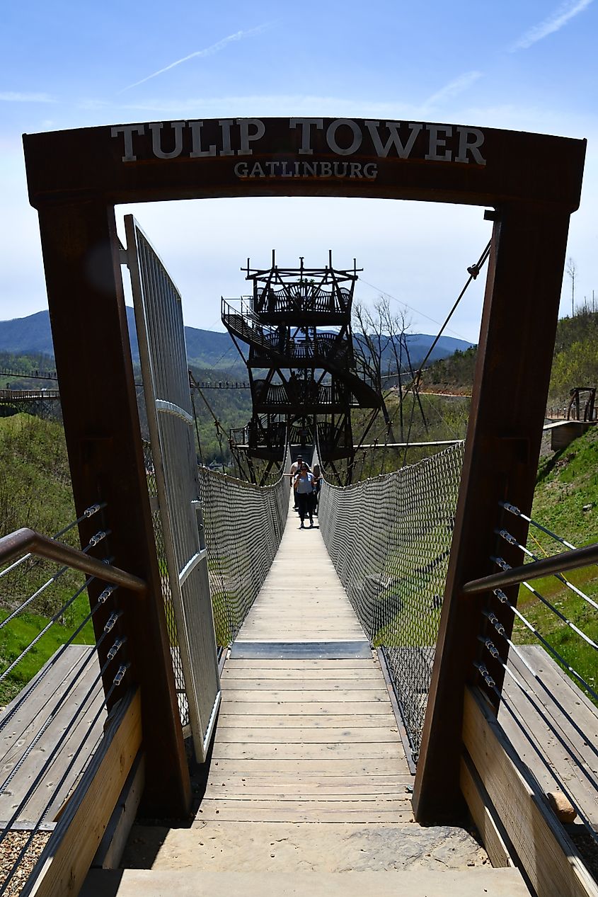 Tulip Tower at Gatlinburg SkyPark in Tennessee. Editorial credit: Ritu Manoj Jethani / Shutterstock.com