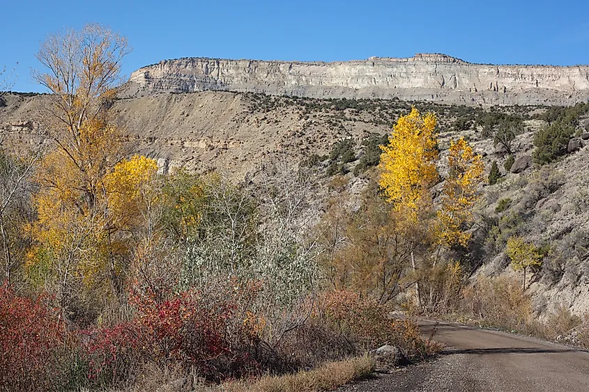 Grand Mesa's flat basalt-capped summit in Colorado.