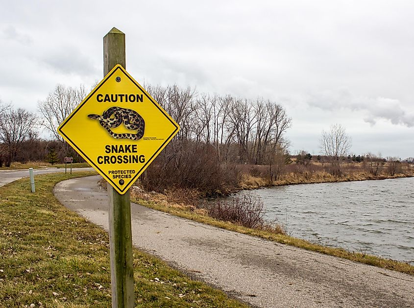 Sign in Sterling State Park in Monroe, Michigan, USA, warning of Massasauga rattlesnake habitat. Editorial credit: ehrlif / Shutterstock.com