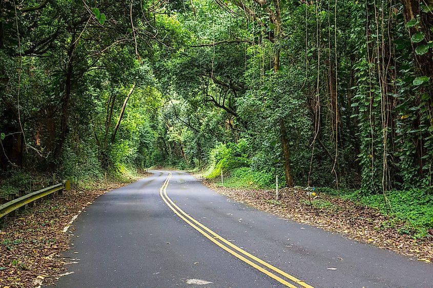 Nuuanu pali highway on Oahu, Hawaii.