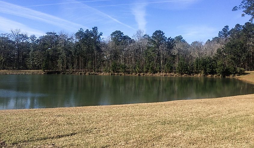 Peaceful Lakeside in Thomasville Georgia