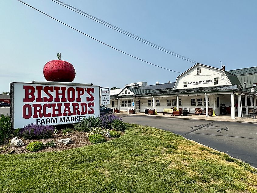 View of signs and white barn for Bishop's Orchards market in Guilford, Connecticut