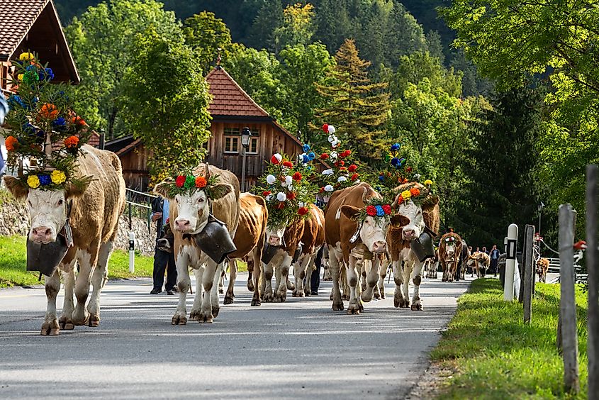 Charmey, Fribourg, Switzerland (Editorial credit: ventdusud / Shutterstock.com)