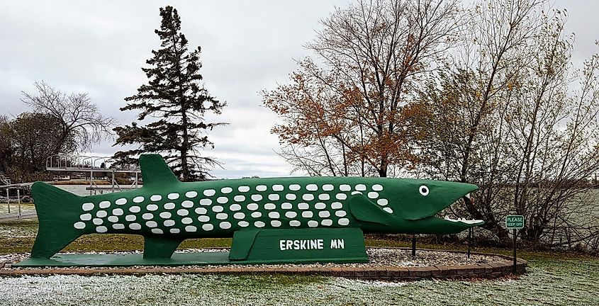 Concrete statue of a Northern Pike in Erskine, Minnesota. 