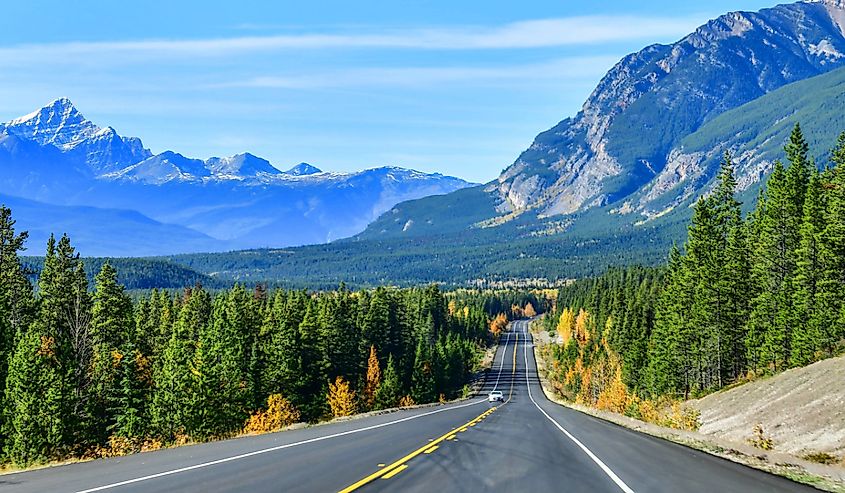 Road 93 South near Jasper National Park