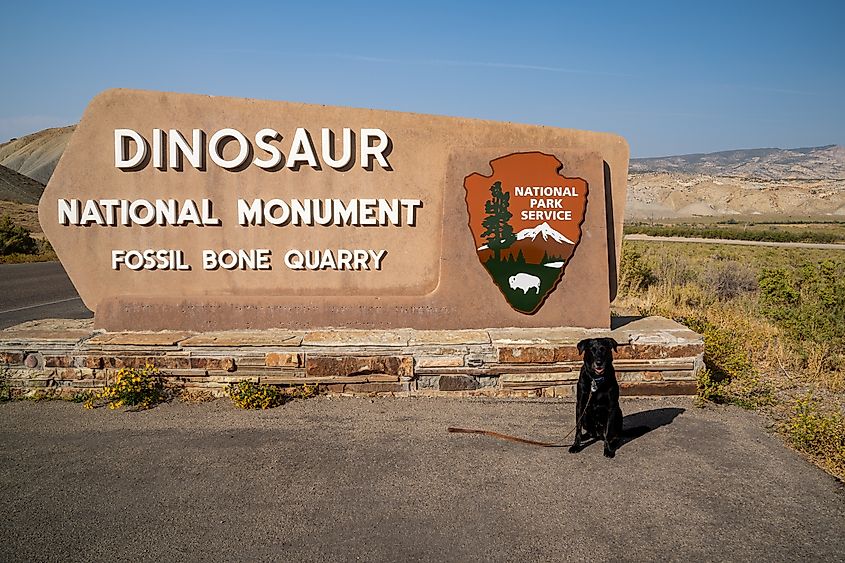 Dinosaur National Monument - Fossil Bone Quarry