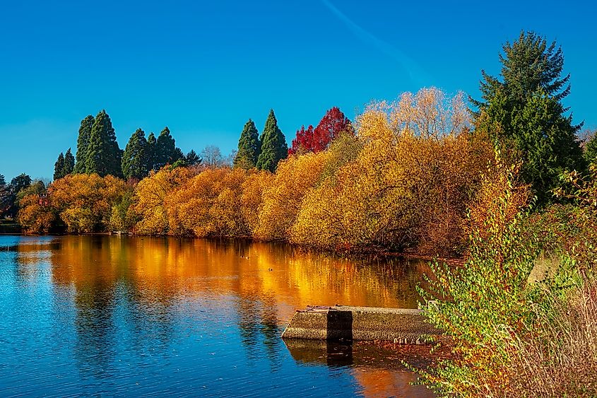 Fall in Seattle 