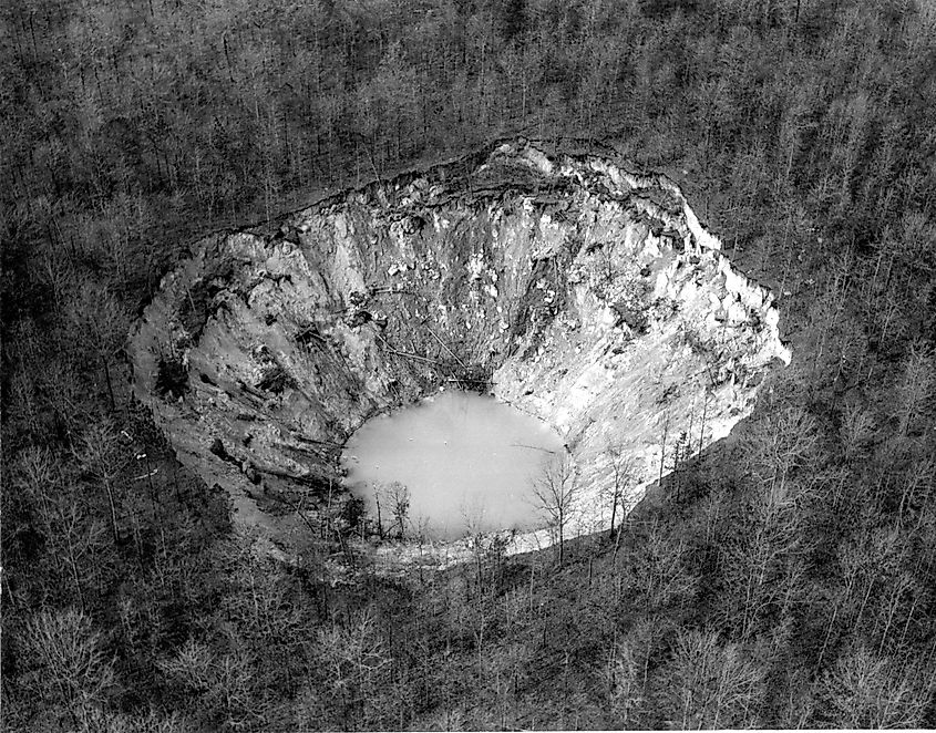More than three acres of forest suddenly disappeared into the Golly Hole.
