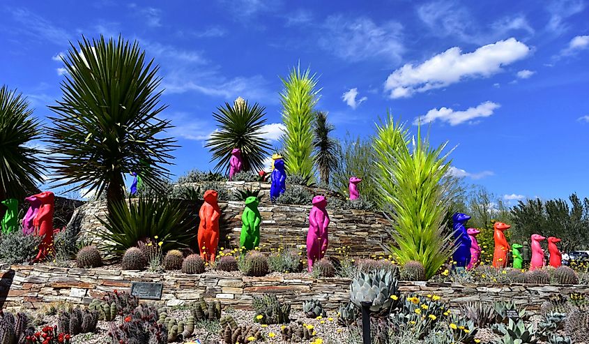 A beautiful desert landscape and artwork at the entrance to the Desert Botanical Gardens under a deep blue sky.