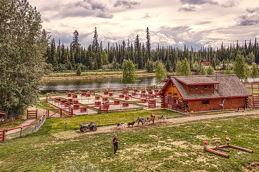 Tanana River