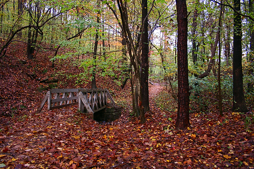 Trails through the Wine Cellar Park near Dunbar, West Virginia.