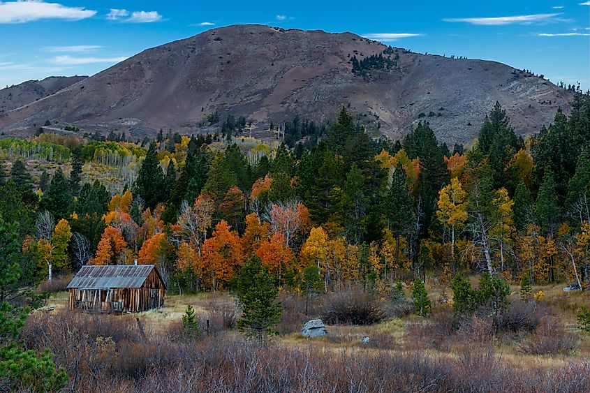 Carson Pass road