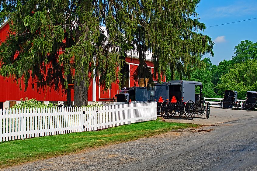 Amish buggies parked beside a barn near Mount Joy, Pennsylvania