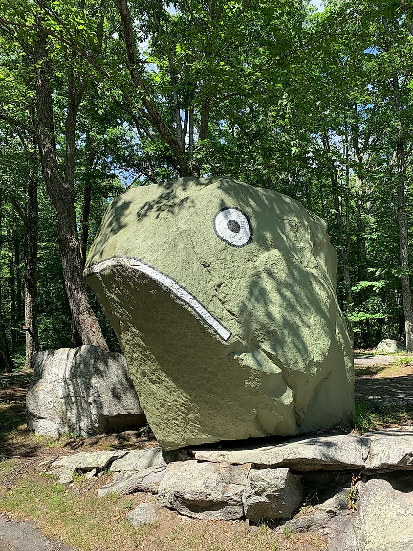Frog Rock, a large painted boulder resembling a frog.