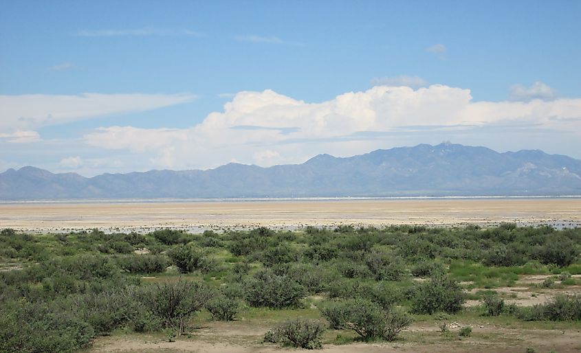 View facing east toward the Dos Cabezas Mountains from a point just east of Cochise, Arizona. In the forground is desert shrubland surrounding the Willcox Playa, the whitish/tan section in the middle. By The Old Pueblo - Own work, CC BY-SA 4.0, https://commons.wikimedia.org/w/index.php?curid=37175186
