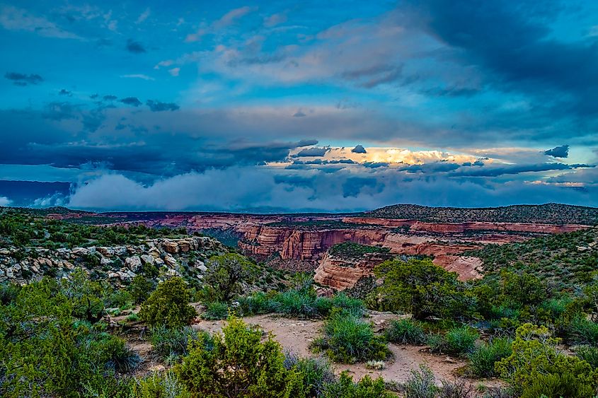 Beautiful Sunset on Colorado National Monument in Fruita, Colorado