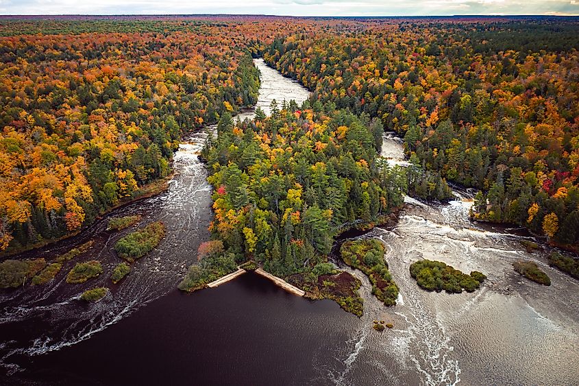 Fall colors in the Tahquamenon Falls State Park.