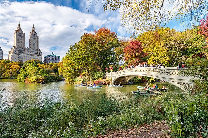 Central Park, New York City