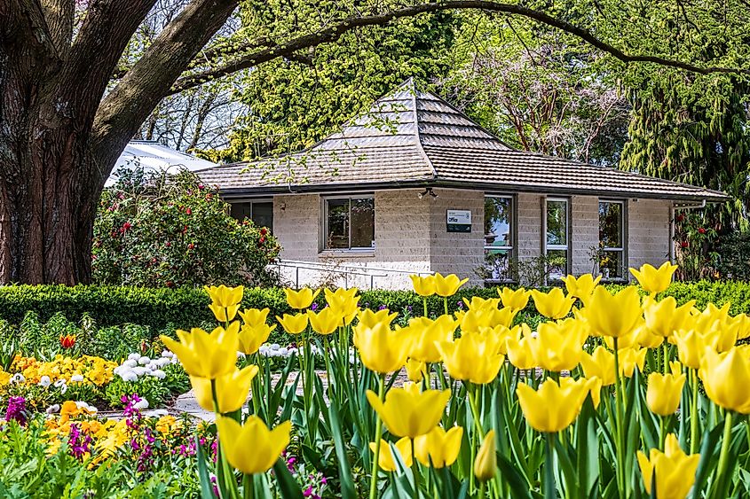 Shooting spring of Ashburton Domain in New Zealand