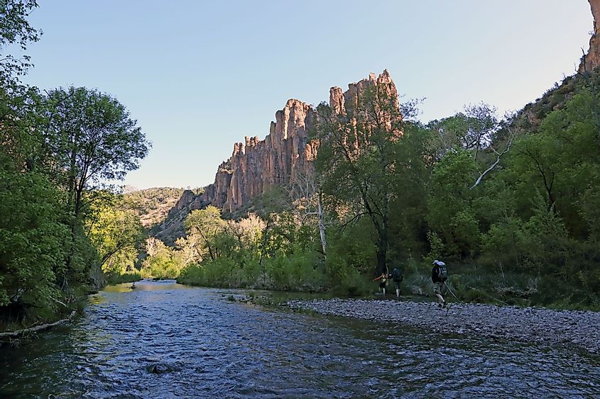Middle Fork Gila River in Gila National Forest, New Mexico