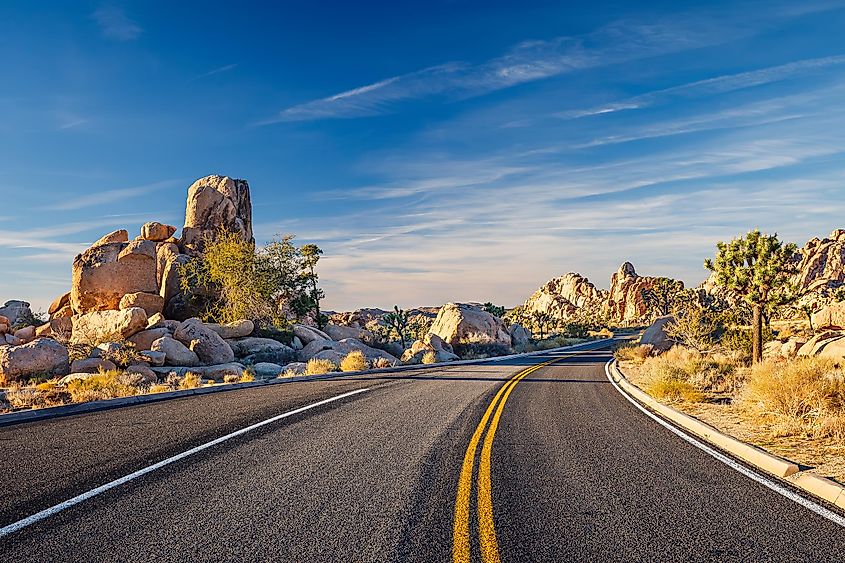 Joshua Tree National Park is located in the Mojave Desert of California. 