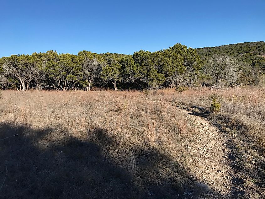 Balcones Canyonlands outside of Austin, Texas.