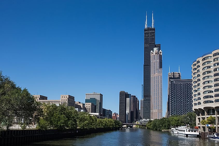 Willis Tower rising above the Chicago skyline.