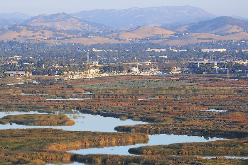 Suisun Slough and Marshland in Suisun City