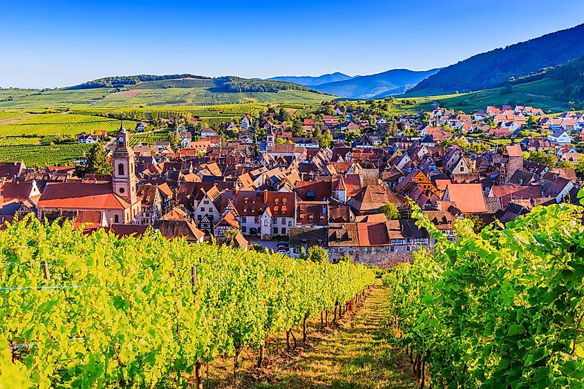 Riquewihr, France, surrounded by vineyards.