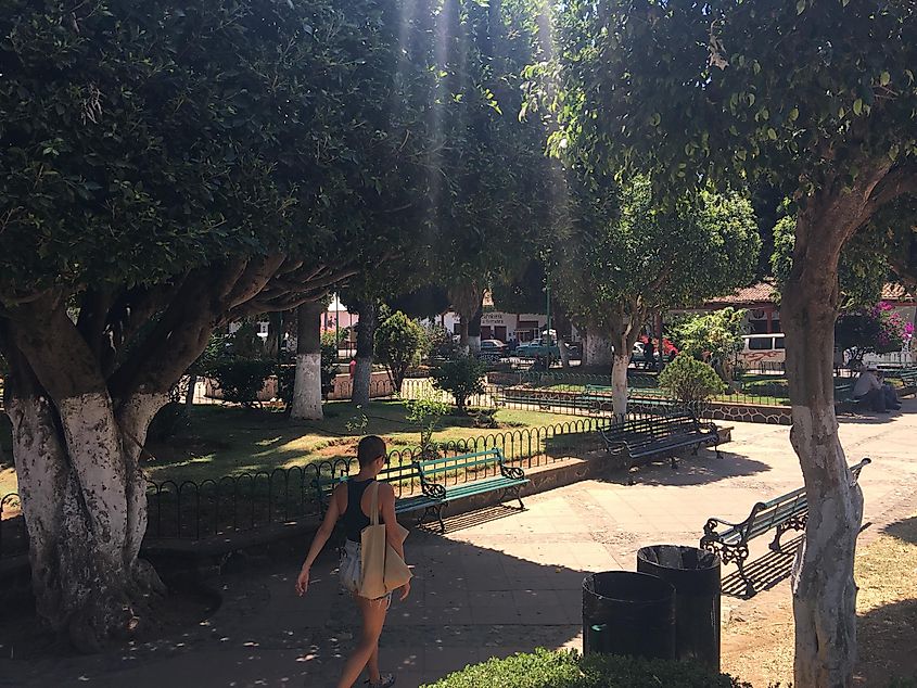 A woman walks into a quiet, green park, with a ray of sunshine lighting the way. 