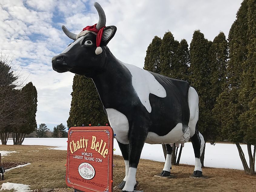 Neillsville, Wisconsin/USA- March 4, 2018. The World's Largest Talking Cow called Chatty Belle is located in Neillsville, Wisconsin in America. 