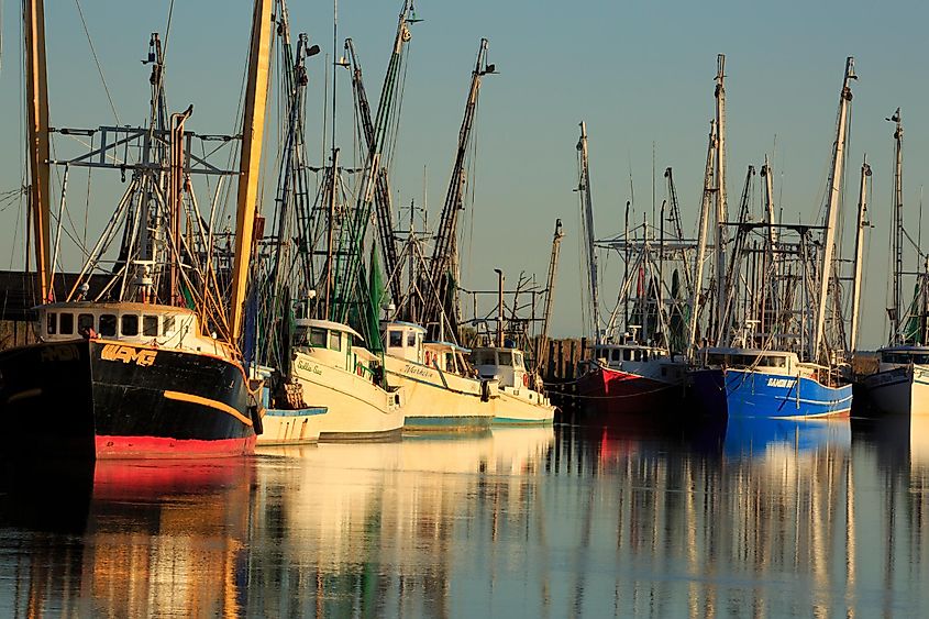 Shrimp boats docked at Darien harbor