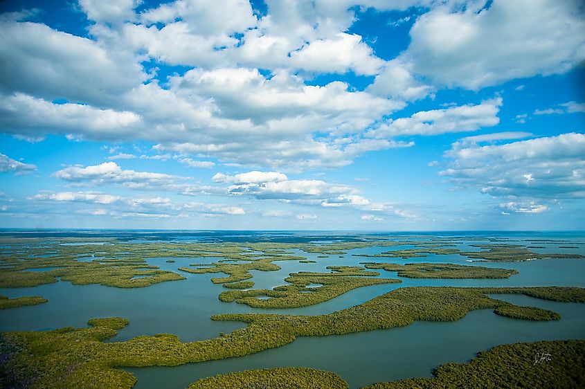Ten Thousand Islands in Everglades National Park.