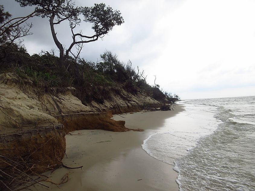 Savage Neck Dunes.
