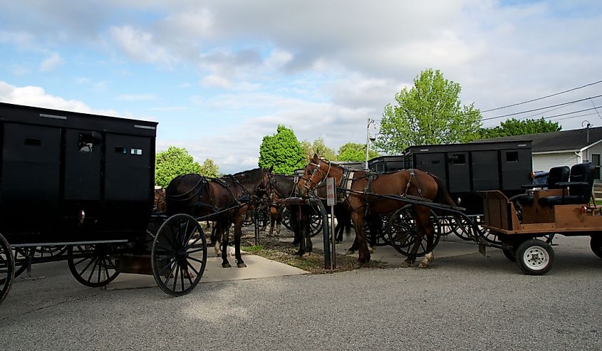 View of amish carriage in Middlebury, Indiana.