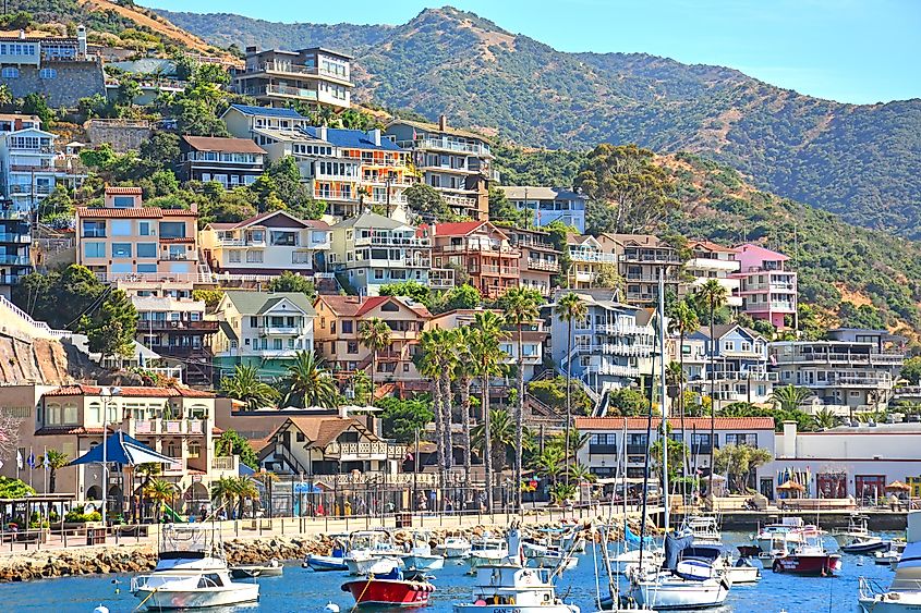 Vacation homes in Avalon, California.