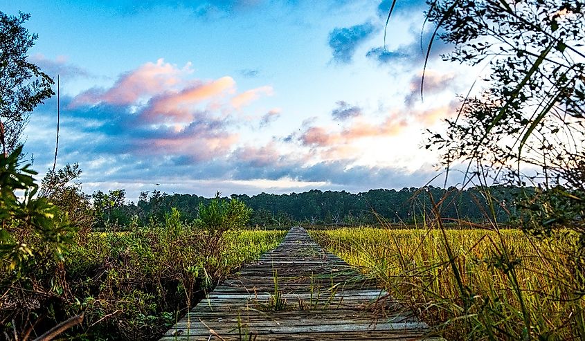 Wooden pier in South Carolina low country marsh at sunrise with cloudy sky