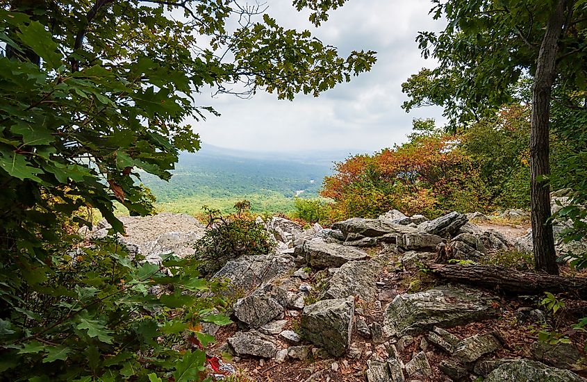 The Hawk Mountain Sanctuary, wild bird sanctuary.