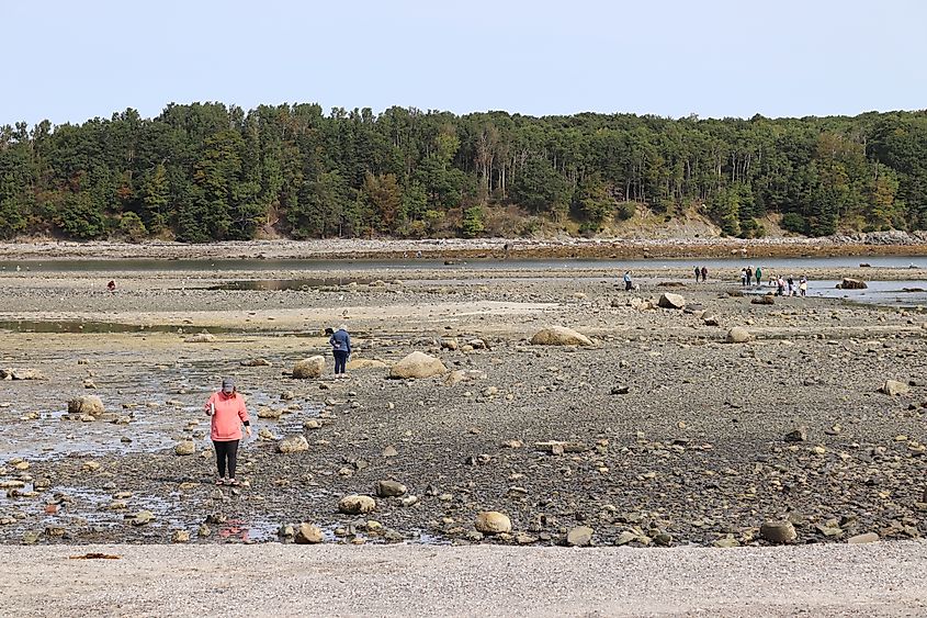 Visitors exploring the coastline of Bar Harbor, Maine.