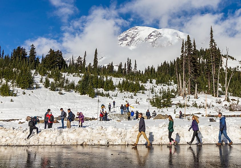 Visitors exploring the Mount Rainier National Park in Washington.