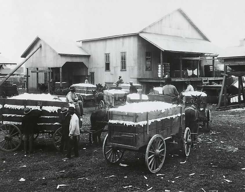 Community cotton gin owned and operated by African Americans in Madison County, Alabama