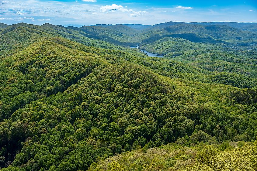 A sweeping view of the lush forests of the Cumberland Mountain State Park.