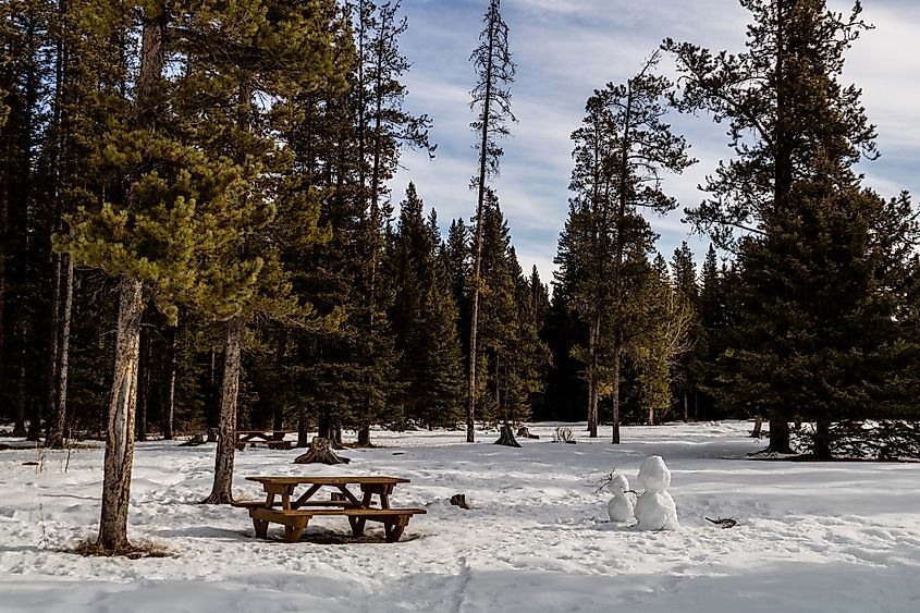 Bragg creek winter