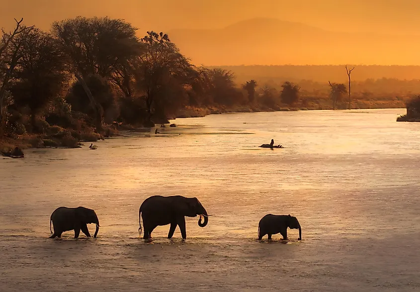 Zambezi River