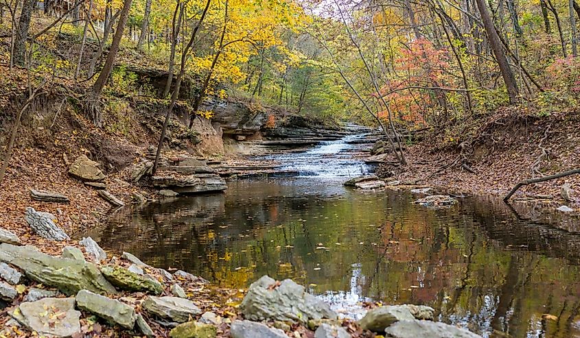 Tanyard Creek Nature Trail