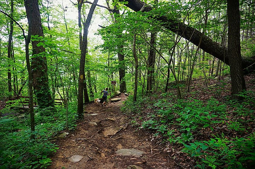 Fort Mountain State Park Georgia