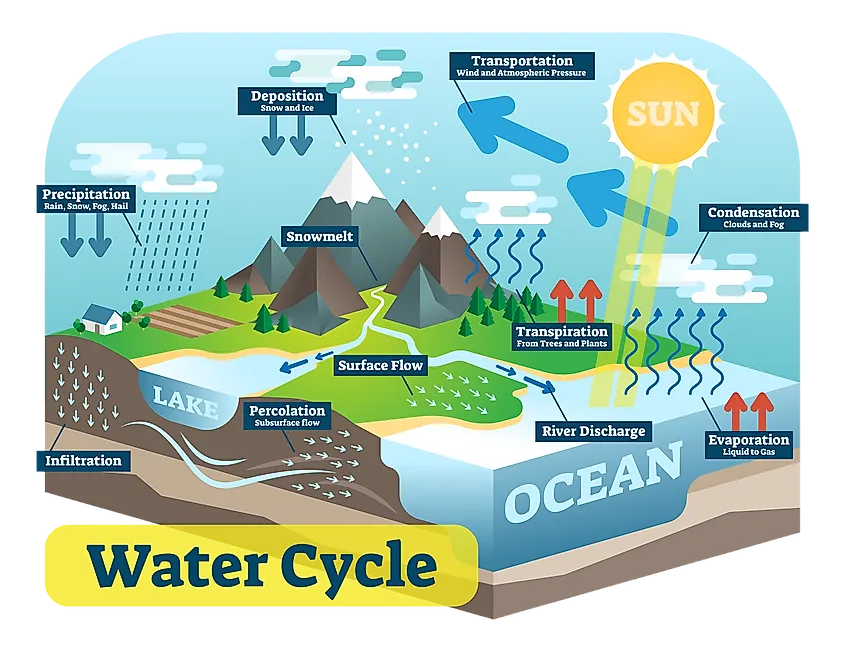 How Is Climate Change Impacting The Water Cycle? - WorldAtlas