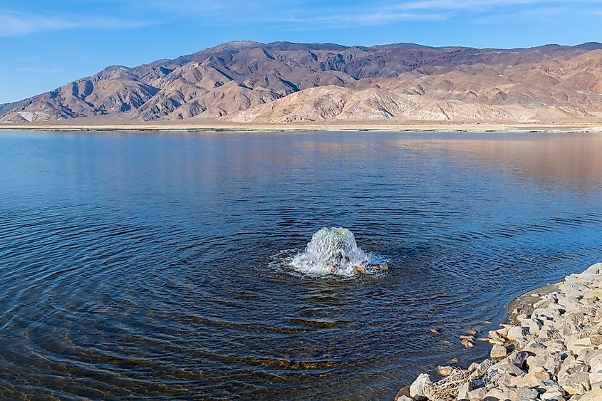 Owens Lake restoration effort