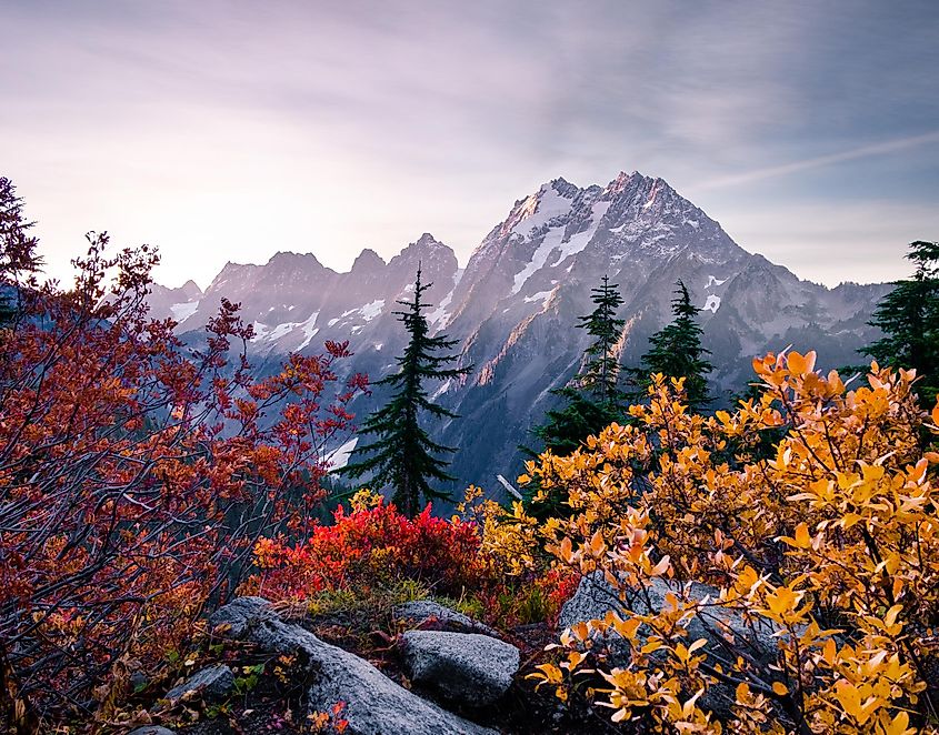 Sunrise Illuminates Johannesburg Mountain and Fall Colors on the Eldorado Peak Route. North Cascades National Park, Washington